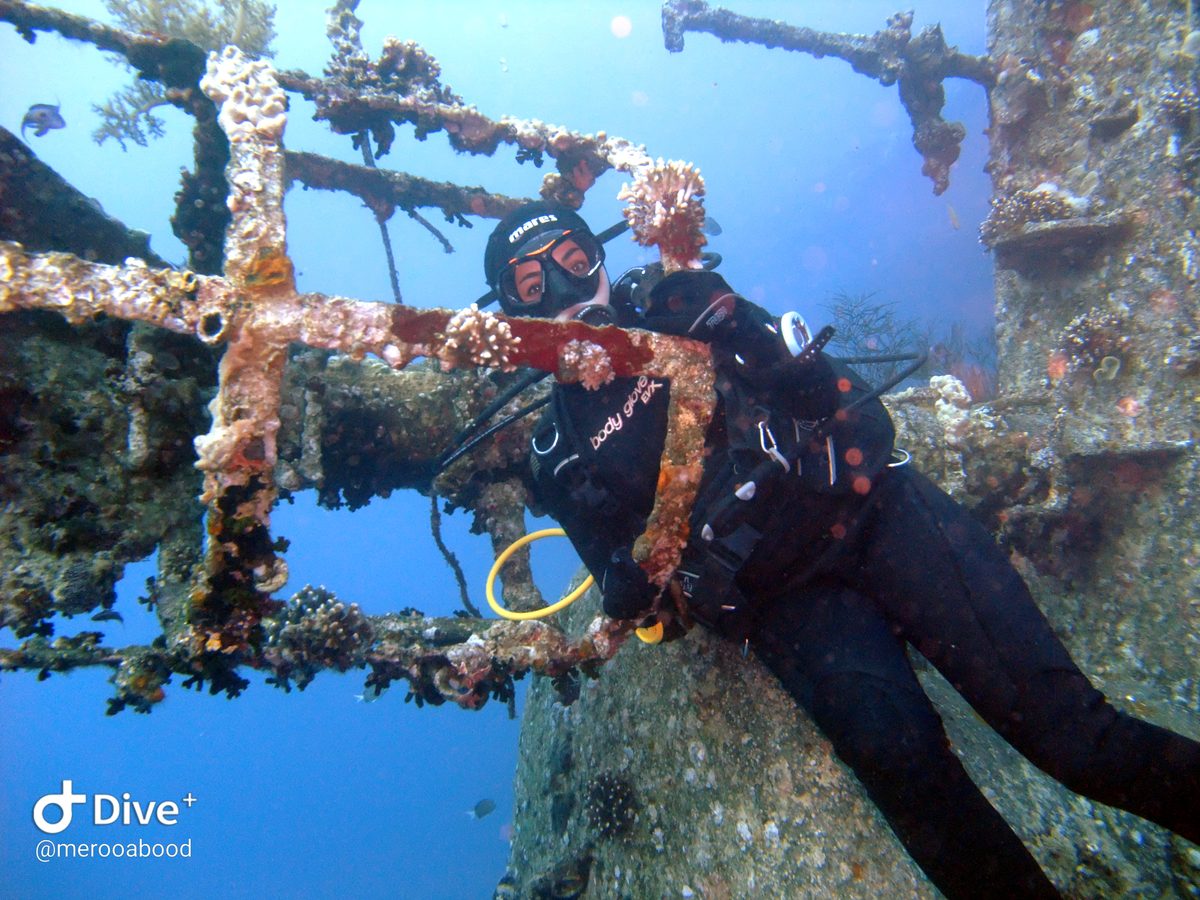 Cedar Pride vs C130 Hercules: Which Aqaba Wreck Should You Dive First?