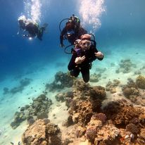 Coral pinnacles at First Bay North in Aqaba