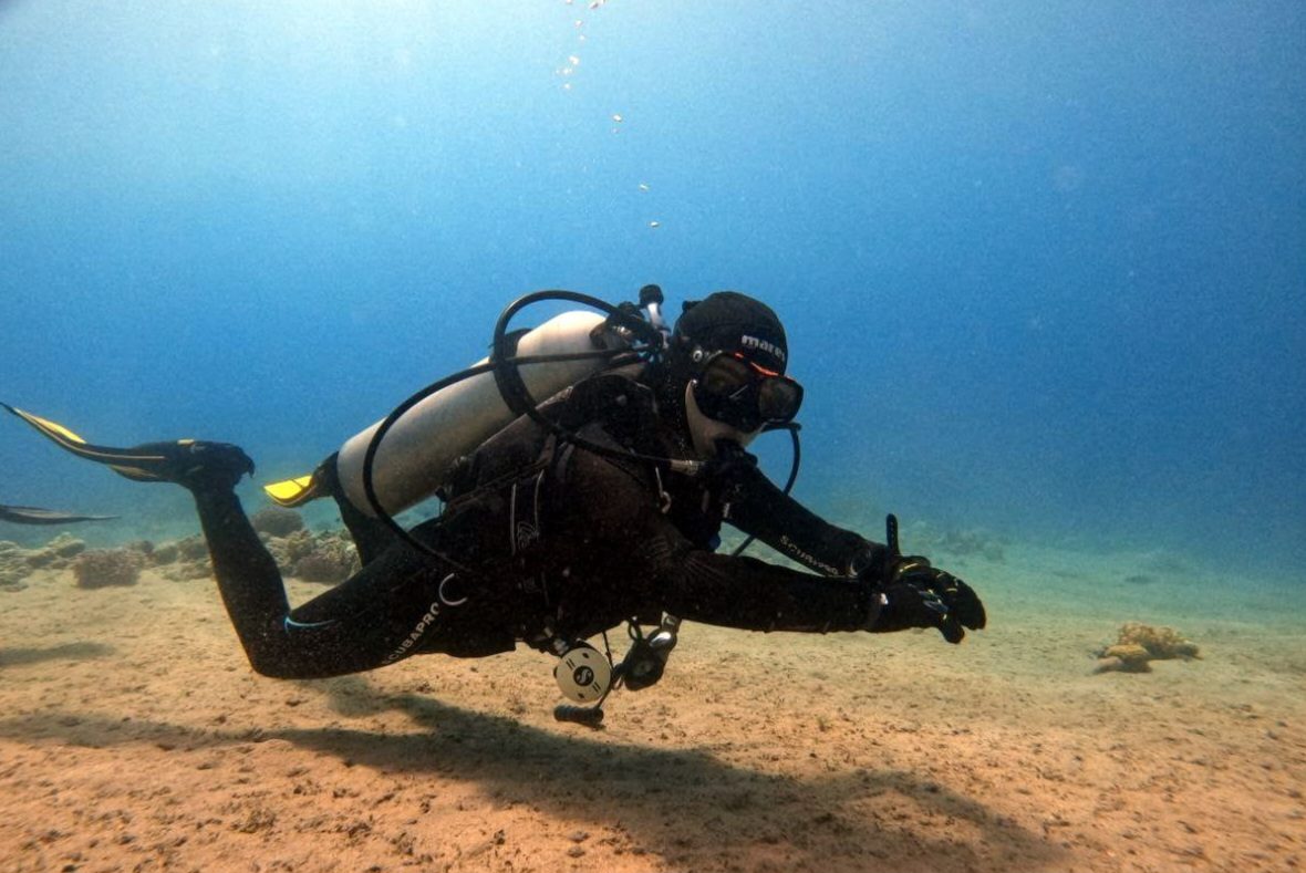 Best Time to Dive Aqaba: Visibility, Water Temp & Marine Life by Month