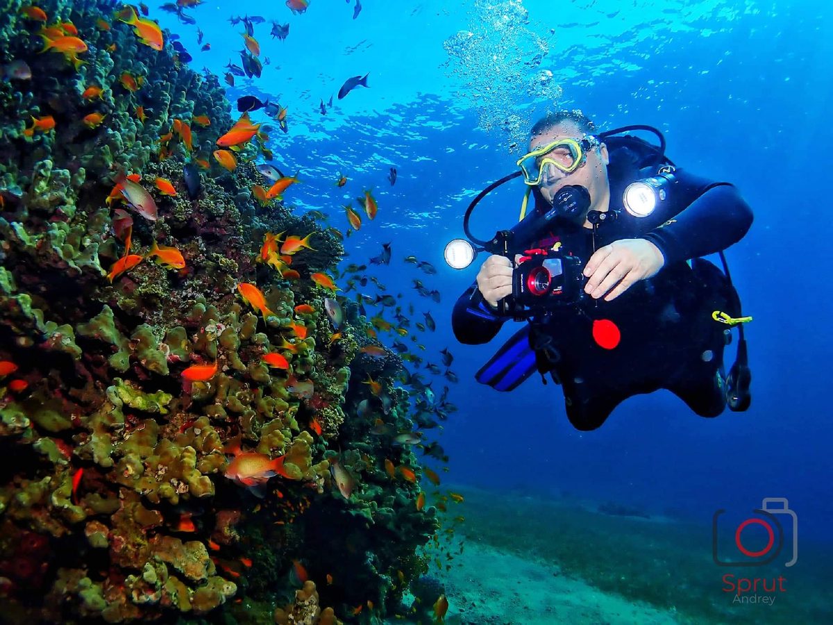 Diver approaching the TriStar aircraft wreck in Aqaba
