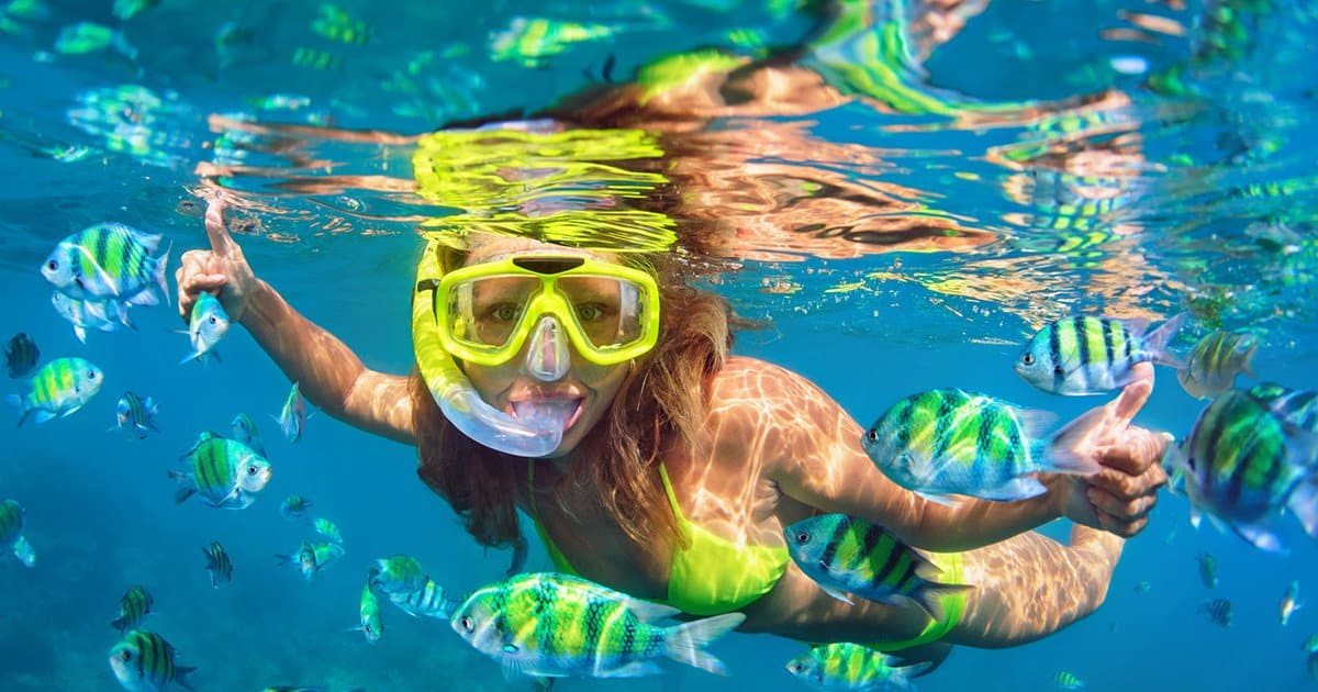 Snorkeling at Sea Star in Aqaba